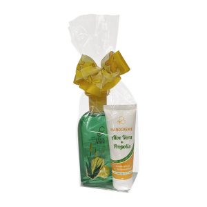 Geschenkset Aloe Vera mit einer Handcreme und Duschgel mit einer Schleife in Cellophan gepackt